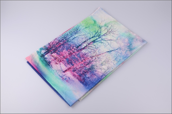 時尚羊毛噴繪圍巾 圍巾批發(fā) 圍巾披肩