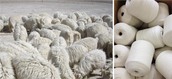 羊絨圍巾 圍巾批發