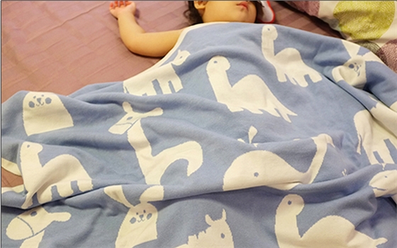 定制空調毯,拉舍爾毛毯價格 羊毛毯圖