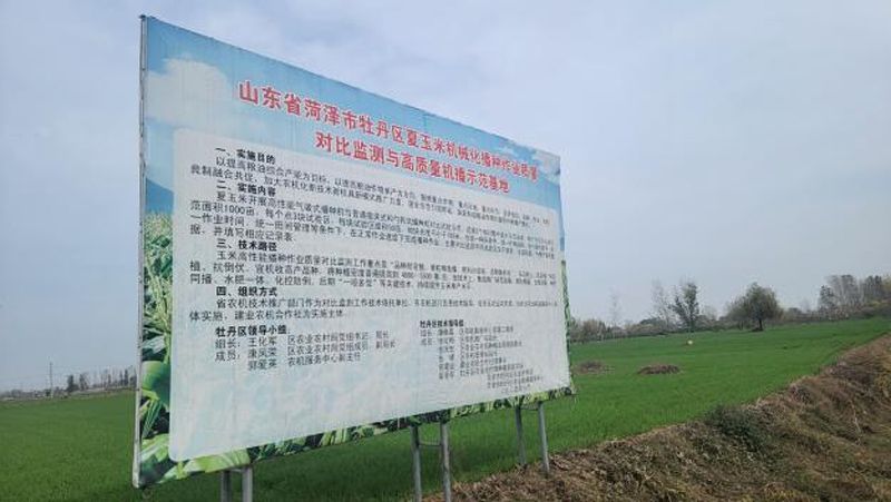 奧龍高性能小麥播種機(jī)播種效果獲用戶點贊